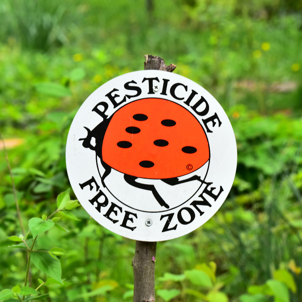 pesticide free