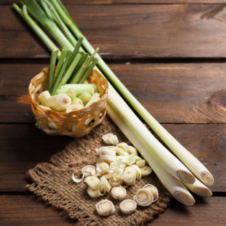 lemongrass plant