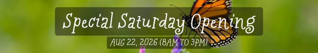saturday opening