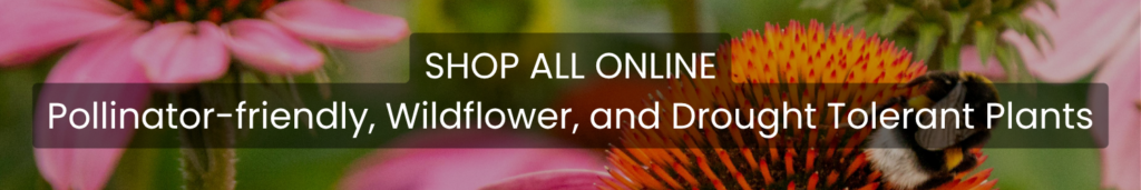 shop all online